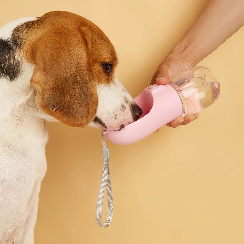 Beagle drinking from the pink trail bottle held in one hand