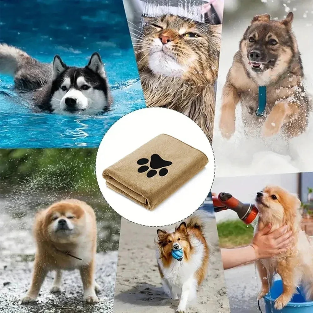 Folded khaki towel surrounded by photos of wet dogs and cats after swimming and bathing