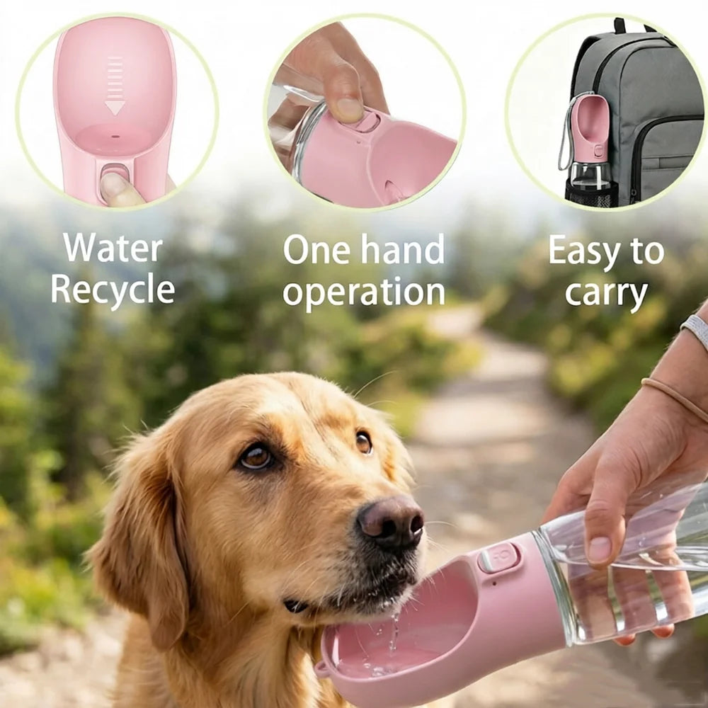 Golden retriever drinking from the bottle lid on a walk